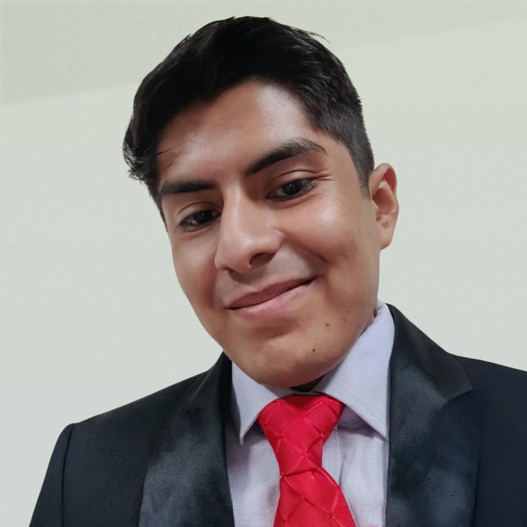 Perfil Dev